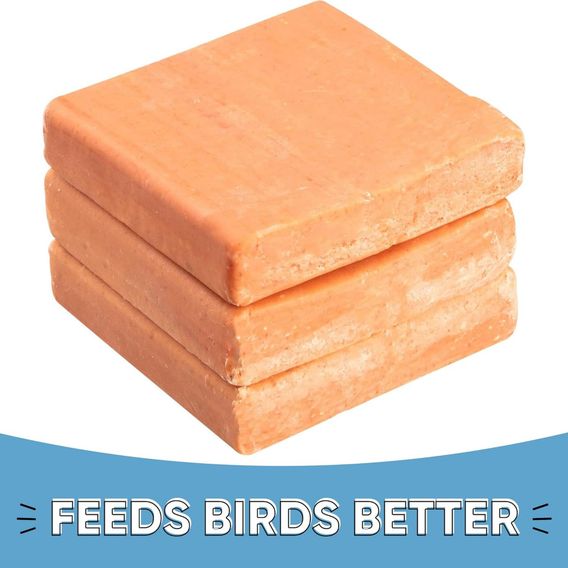 Happy Beaks - Berry Suet Blocks